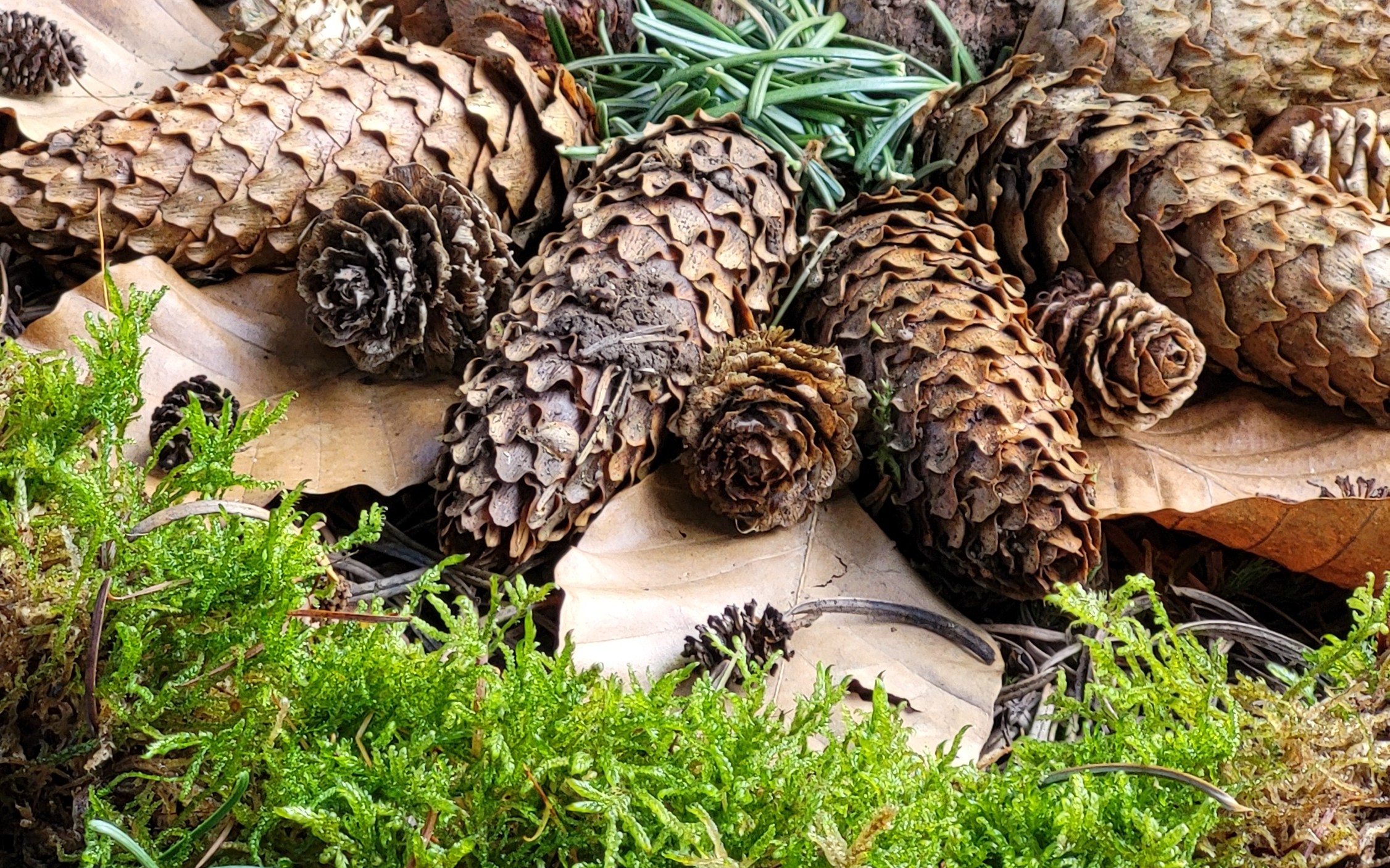 Resilienz trifft Landart