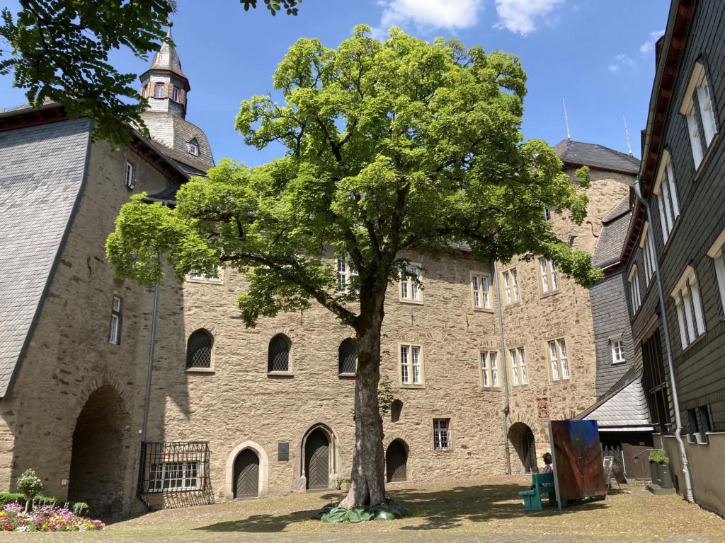 Internationaler Museumstag
