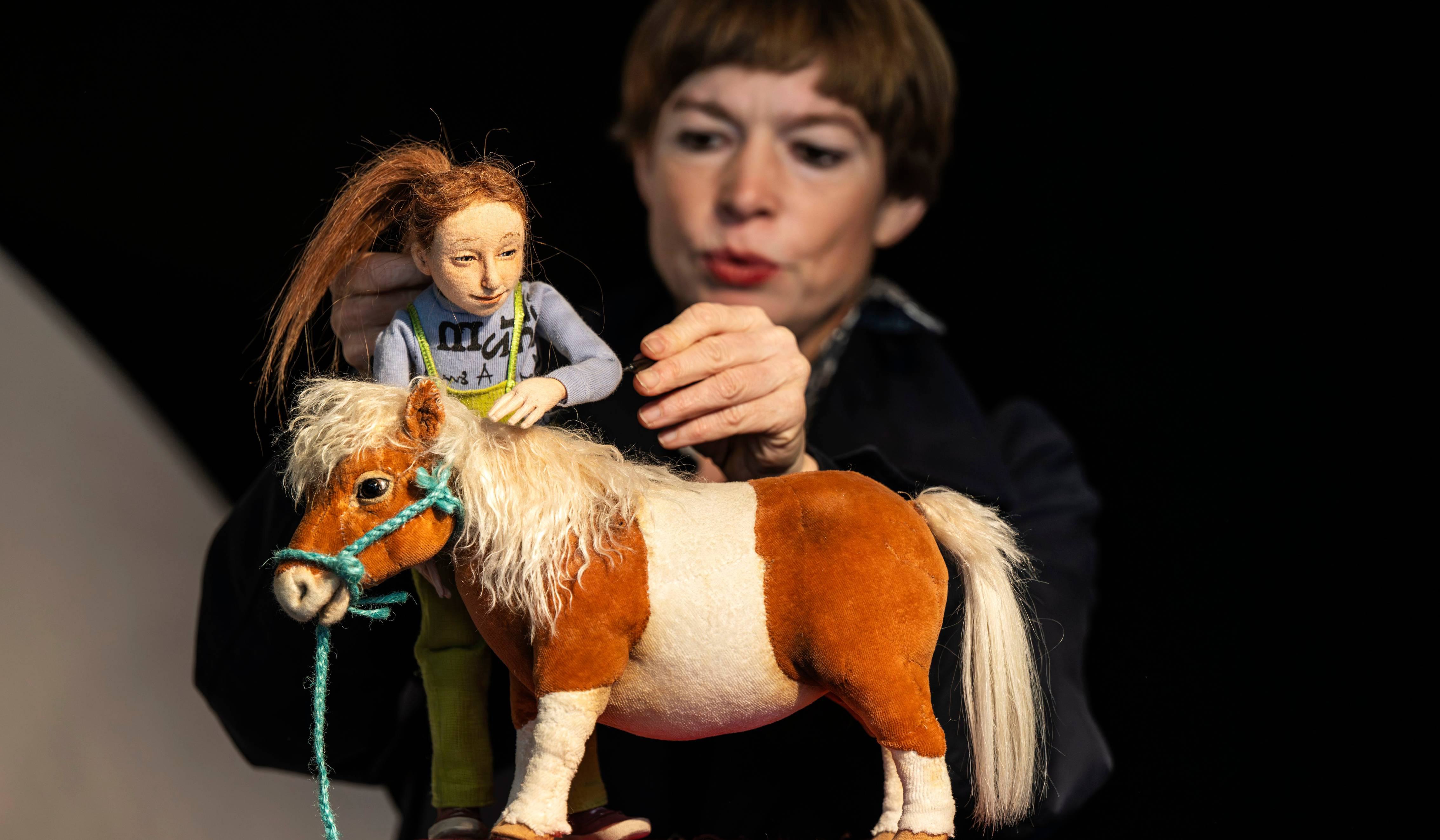 Pony im Koffer