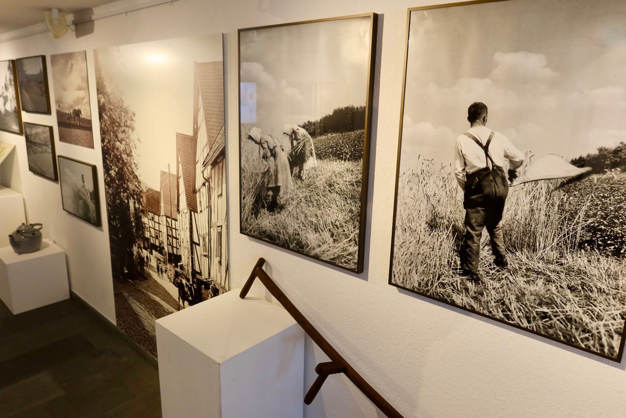 Ausstellung von Alfred Reppel