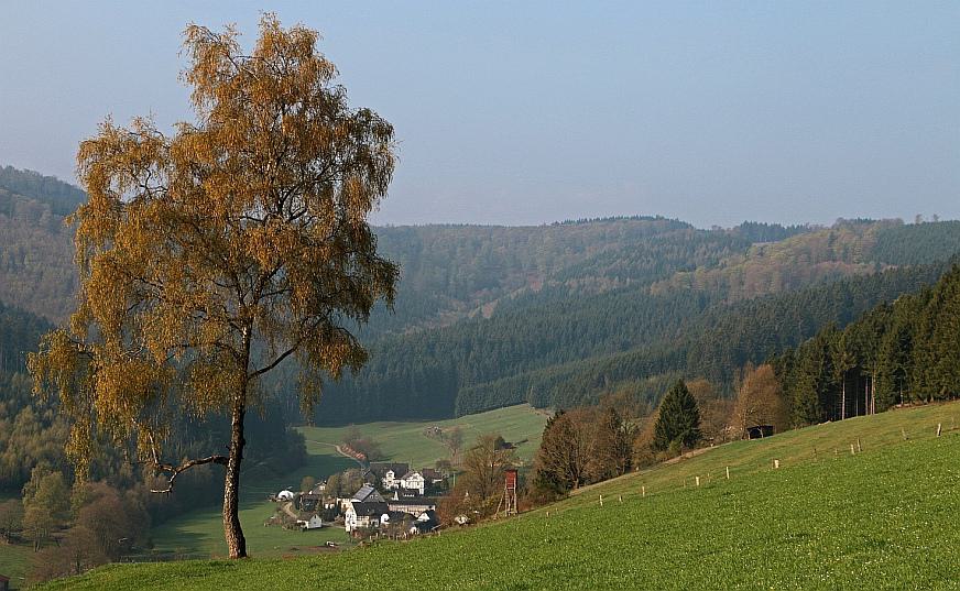 Den frühen Tag genießen