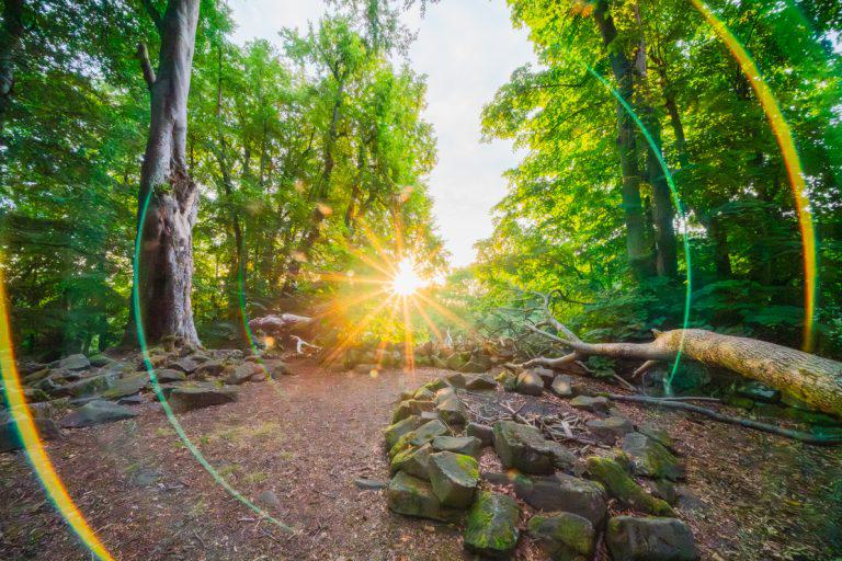 Natur, Licht und neue Perspektiven: