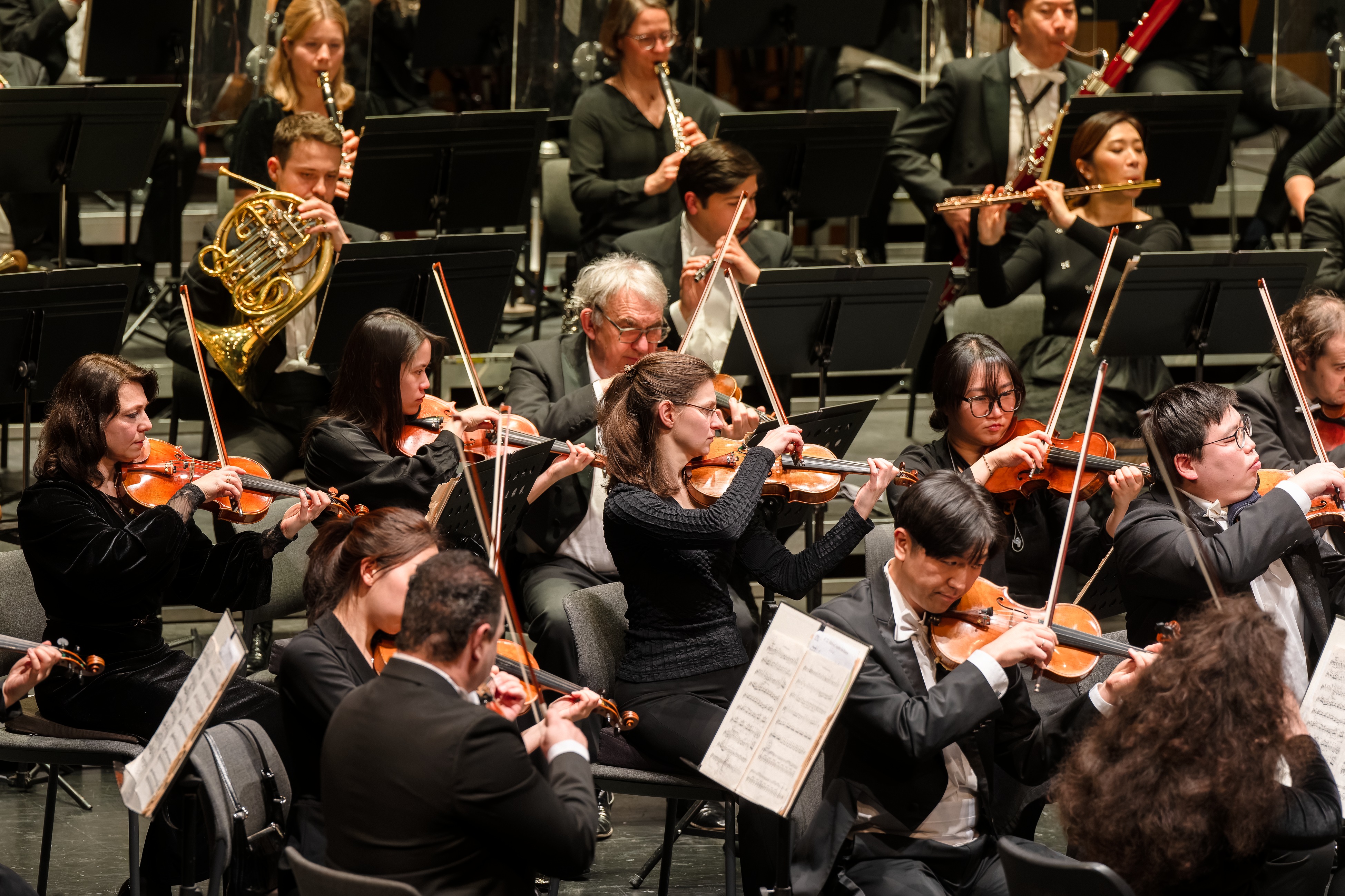 Mayer, Beethoven