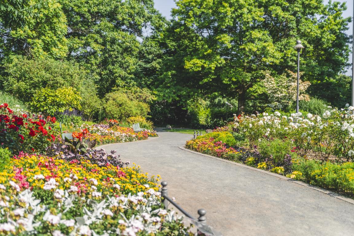 Zwischen Fürstensitz und Bürgerpark