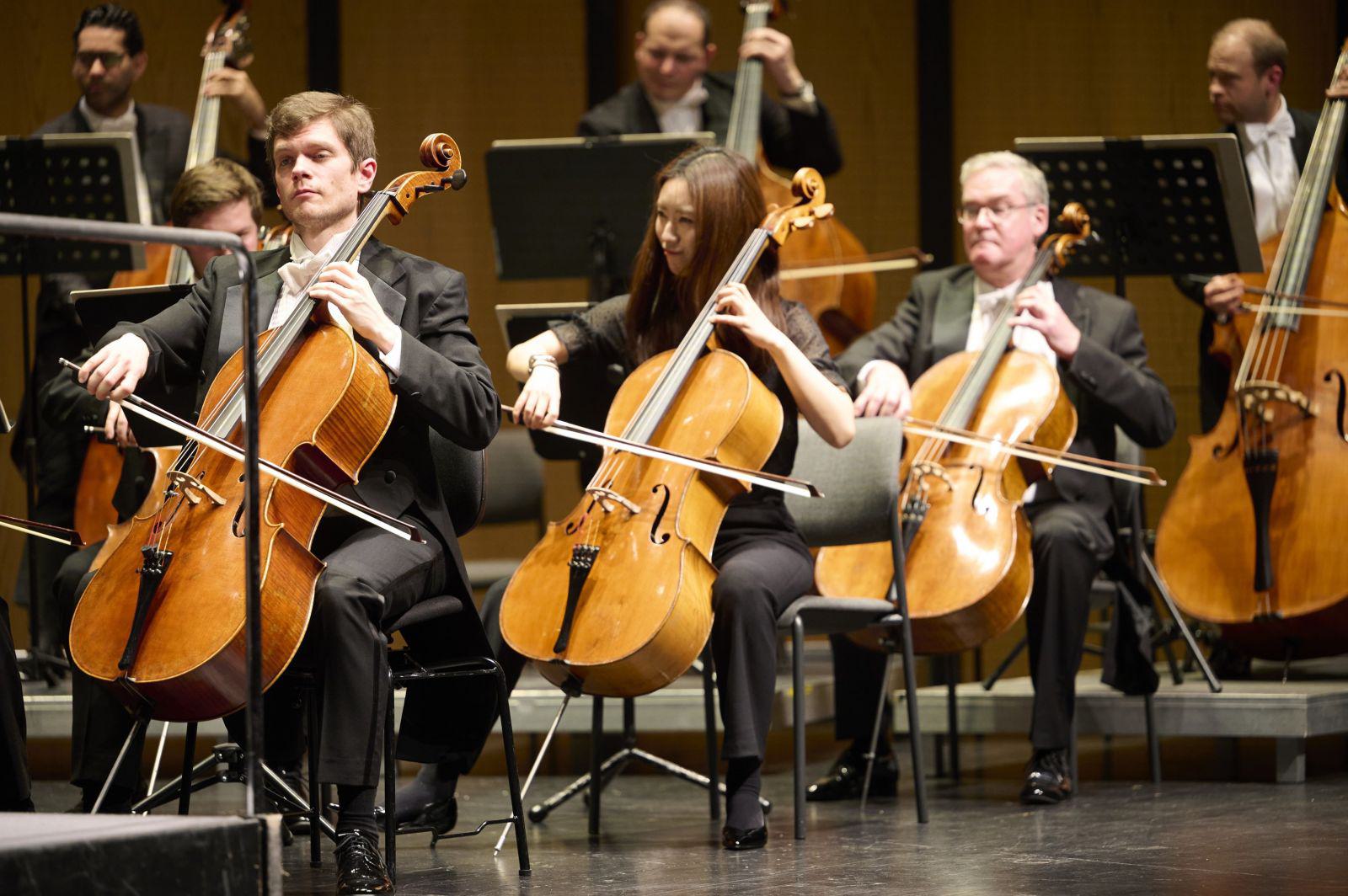Haydn, Strauss, Elgar