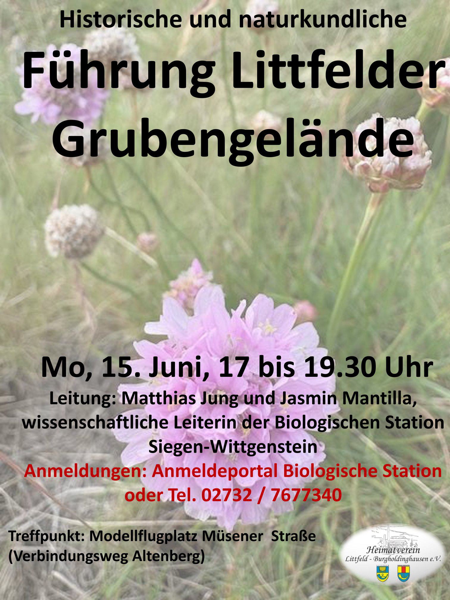Das Littfelder Grubengelände und die umliegenden Wälder