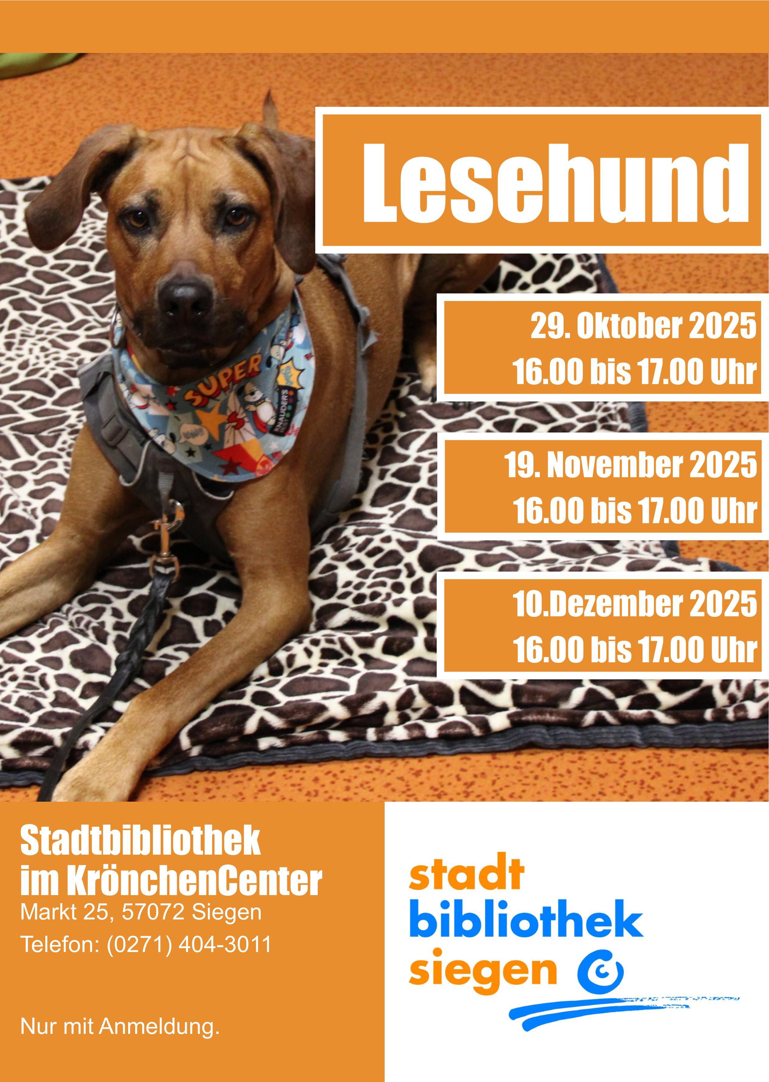 Vorlesen mit Lesehund Laini