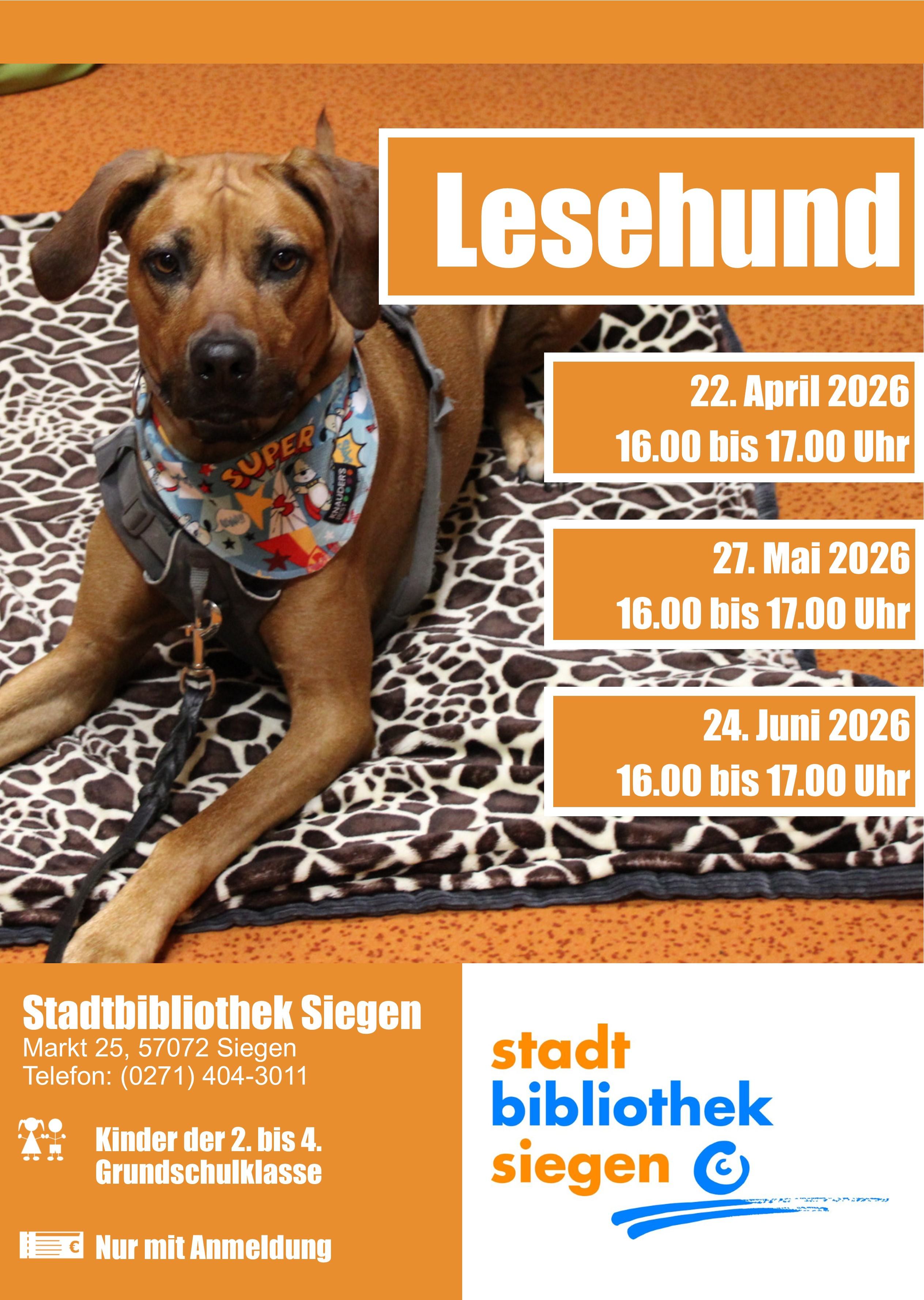 Vorlesen mit Lesehund Laini in der Stadtbibliothek Siegen
