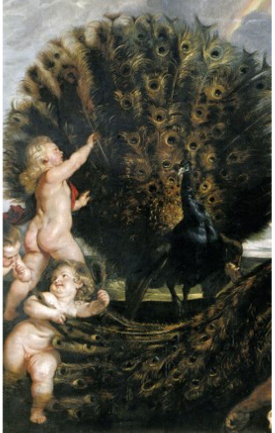 Peter Paul Rubens